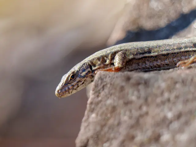 Foto: Eigenes Bild TB