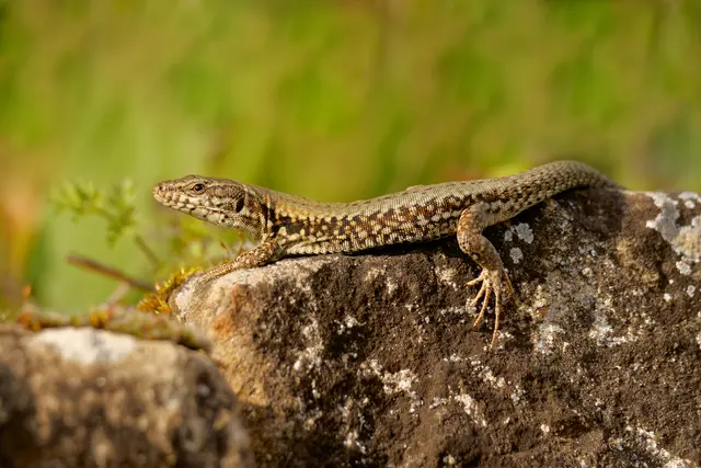 Foto: Eigenes Bild TB