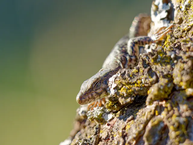 Foto: Eigenes Bild TB