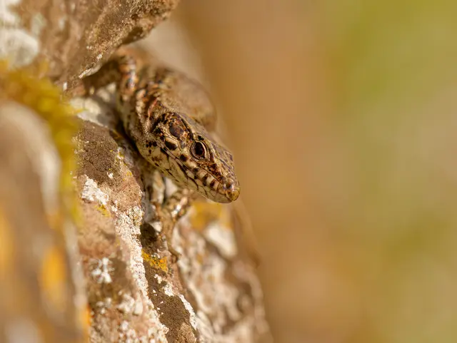 Foto: Eigenes Bild TB