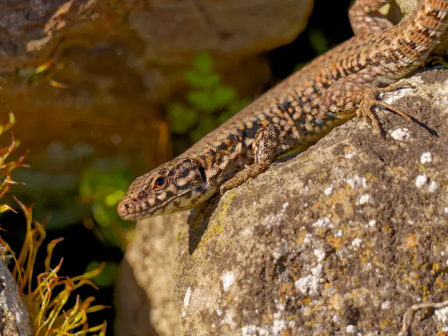 Foto: Eigenes Bild TB