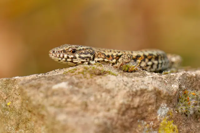 Foto: Eigenes Bild TB