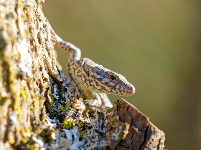 Foto: Eigenes Bild TB