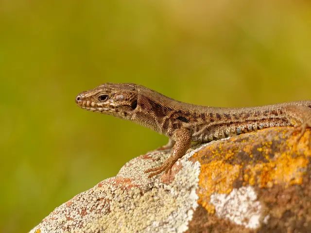 Foto: Eigenes Bild TB