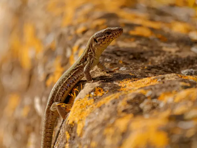 Foto: Eigenes Bild TB