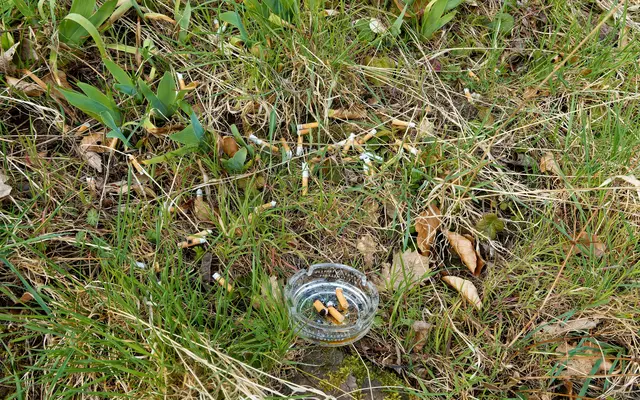 Raucher sind .... wie heißt nochmal die Mutter vom Ferkel? | Foto: WKY