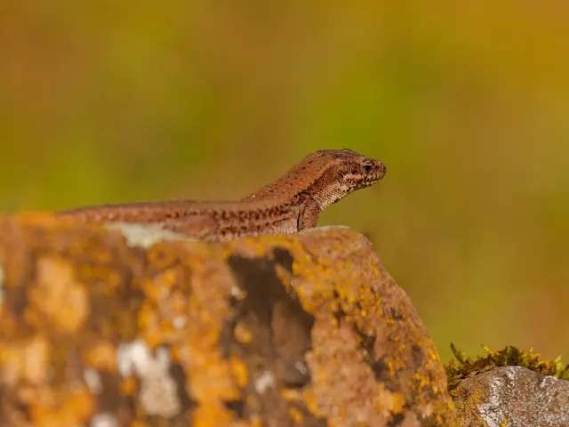 Foto: Eigenes Bild TB