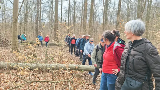 Hindernisse säumen den schmalen Weg an den Keltengräbern | Foto: Albverein Weinsberg