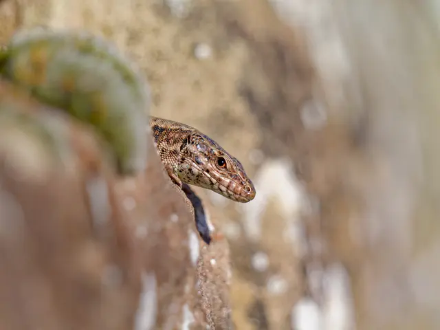 Foto: Eigenes Bild TB