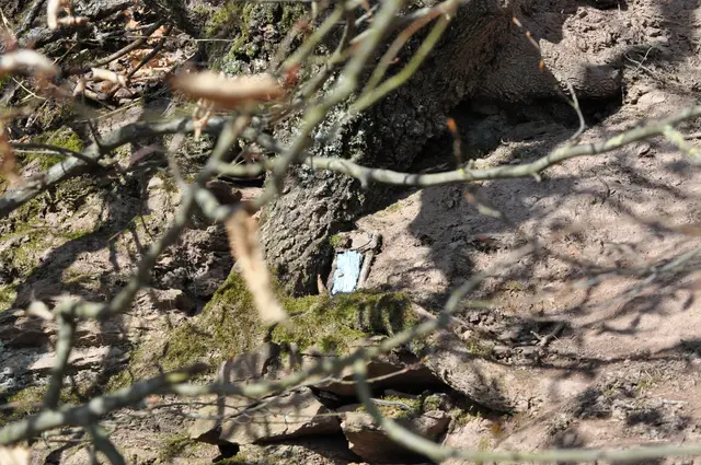 Oder wohnt hier die Ober-Mauereidechse? | Foto: Daniela Somers