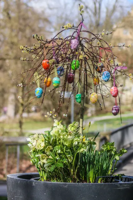 Foto: Stephanie Rüdele