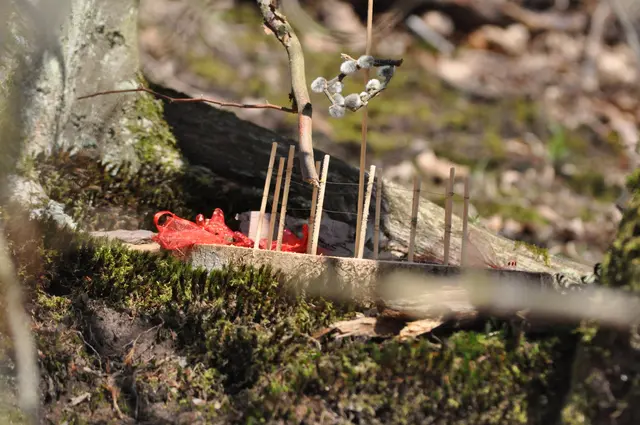 Ein paar Meter weiter lag dann dieses Geschenk. Da wollte jemand wohl die Waldfee gnädig stimmen. | Foto: Daniela Somers
