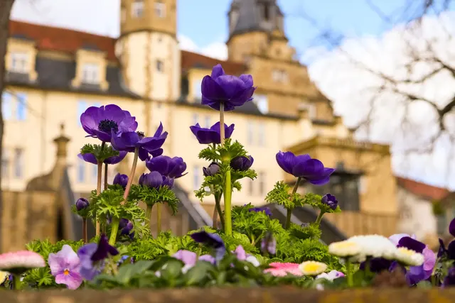 Foto: Stephanie Rüdele