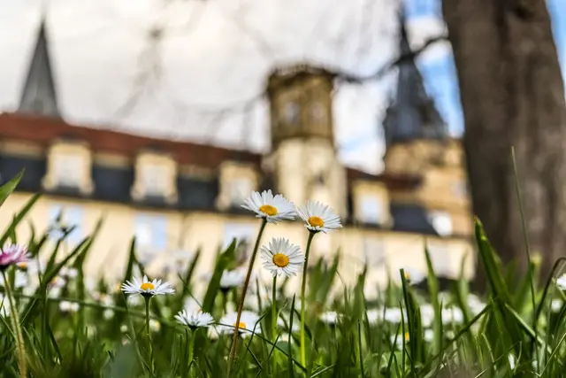 Foto: Stephanie Rüdele