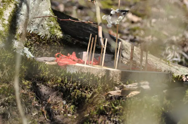 Oder soll es eine Falle für die Waldfee sein? | Foto: Daniela Somers