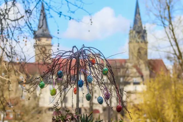 Foto: Stephanie Rüdele