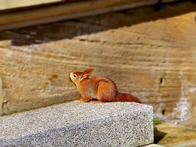 Foto: Heidrun Rosenberger