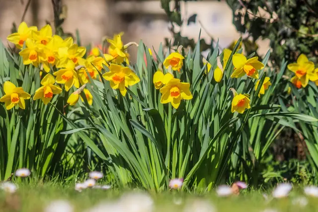 Foto: Stephanie Rüdele