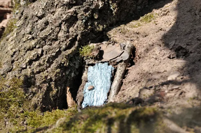 Hier wohnt wohl die Waldfee. Eine schöne Eingangstür hat sie ja. | Foto: Daniela Somers