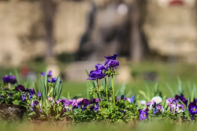 Foto: Stephanie Rüdele