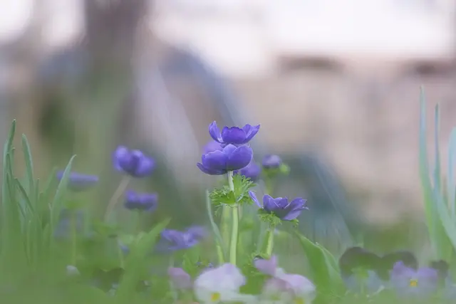 Foto: Stephanie Rüdele