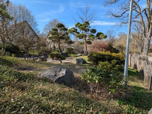 japanischer Garten | Foto: privat