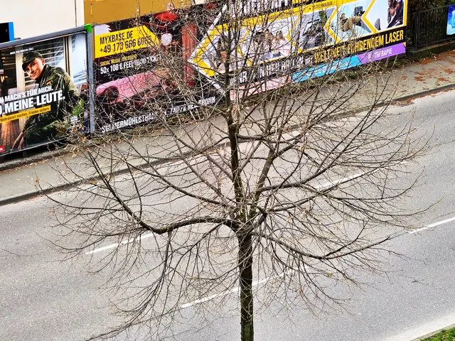 Foto: Heidrun Rosenberger