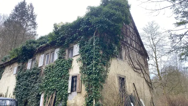 Die historische Barthmühle,  die etwas versteckt hinter Bäumen und Büschen liegt.  
 | Foto: Beate Bonte 