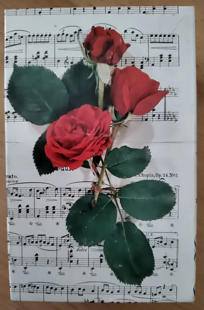 "Meine" kleine Liebeserklärung
an die Spieler*innen vom Quartet des Mandolinen-Orchester Neckarsulm
und dem Württembergischen Zupforchester (WZO)
unter Leitung von Mandy Bahle. | Foto: (c) GMS