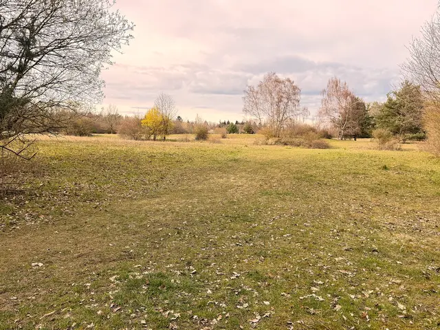 Foto: Heide Böllinger aus Bad Friedrichshall