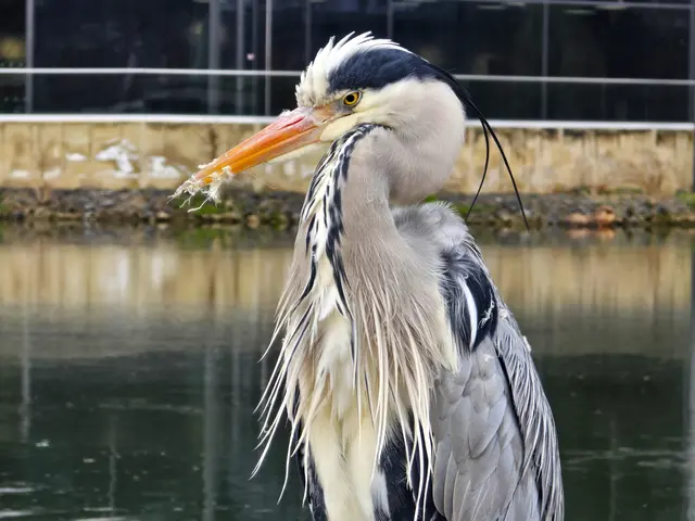 Foto: Heidrun Rosenberger