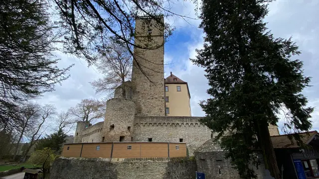 Burg Guttenberg.  | Foto: Beate Bonte 