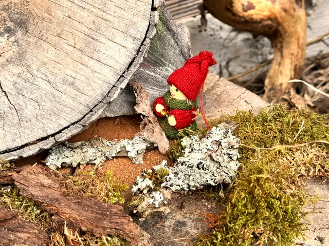 Foto: Heide Böllinger aus Bad Friedrichshall