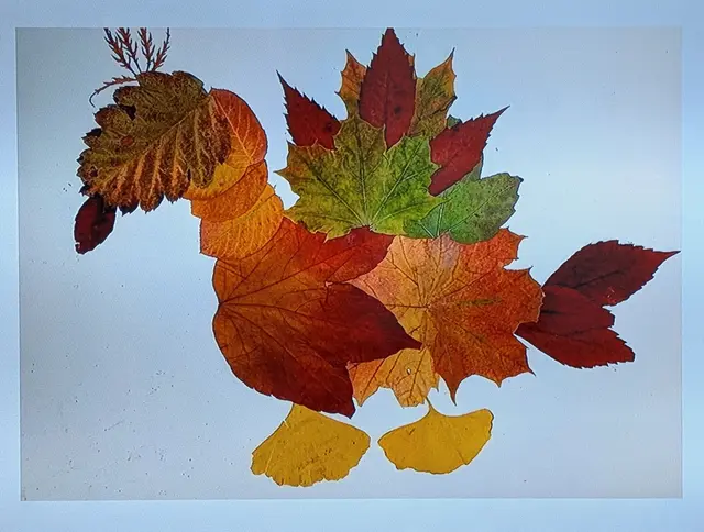 Digital in der Ausstellung zu sehen:
Collage, Ev. Paul-Distelbarth-Gymnasium Obersulm | Foto: DiGi / Archiv Würth 