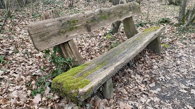 Ein altes Bänkle im Wald.  Ein kleiner Ruheplatz für müde Wanderer.   | Foto: Beate Bonte 