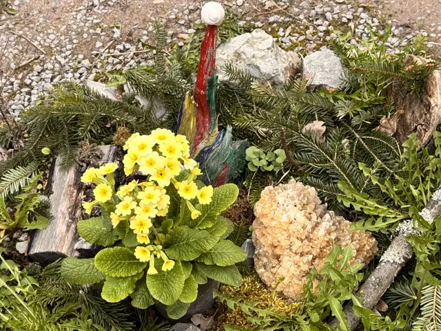 Foto: Heide Böllinger aus Bad Friedrichshall