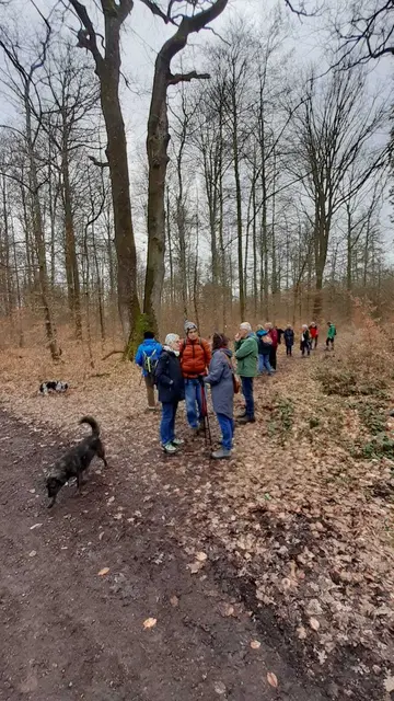 Die Gruppe ist an der imposanten Zwillingseiche angekommen.   | Foto: Karl-Heinz Trefz 