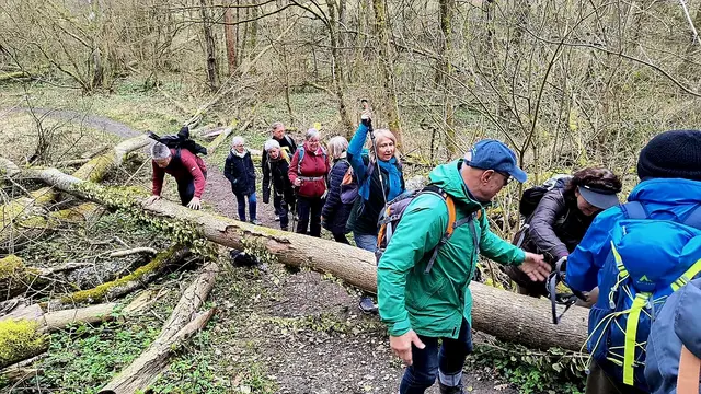 Im Bannwald gab's vor dem steilen Aufstieg erstmal eine kleine Kletterpartie zum Aufwärmen.  | Foto: Beate Bonte 