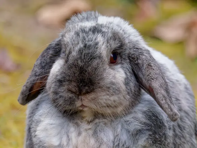 Foto: Eigenes Bild TB