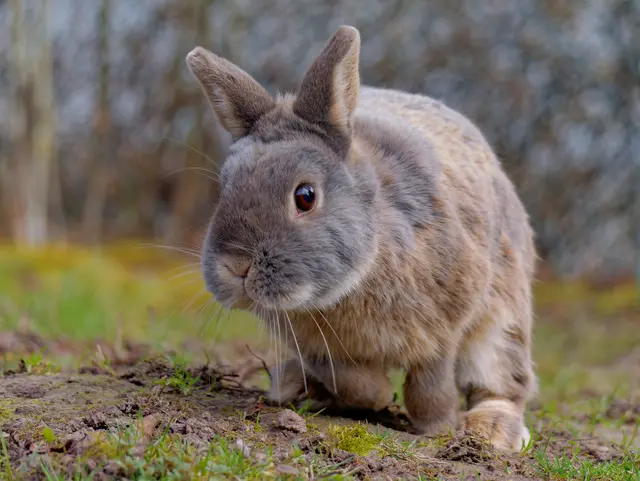 Foto: Eigenes Bild TB