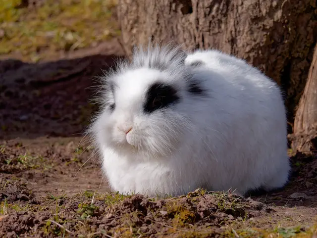 Foto: Eigenes Bild TB