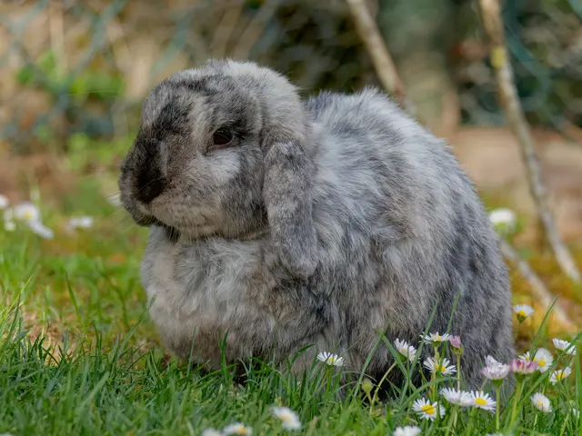 Foto: Eigenes Bild TB