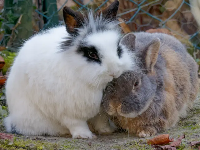 Foto: Eigenes Bild TB