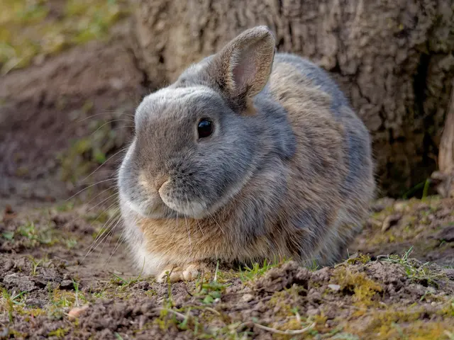 Foto: Eigenes Bild TB