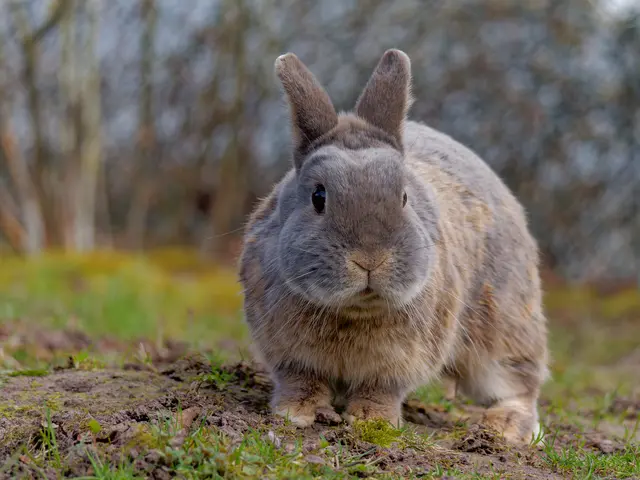 Foto: Eigenes Bild TB