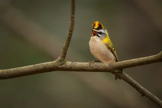 Foto: Elke Köbernick