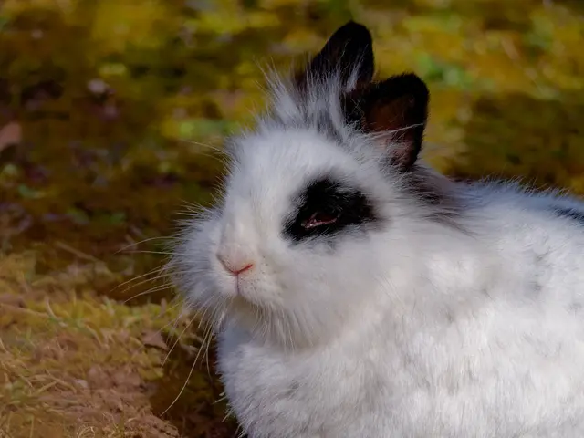 Foto: Eigenes Bild TB