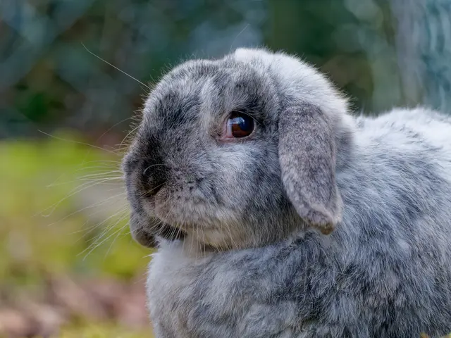 Foto: Eigenes Bild TB