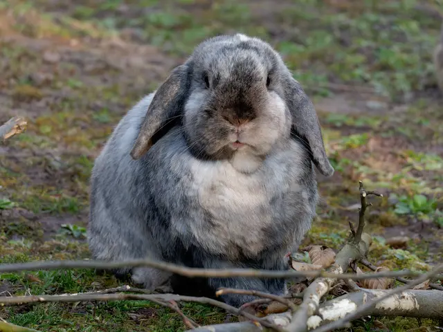 Foto: Eigenes Bild TB