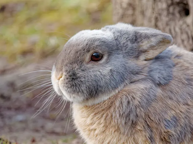 Foto: Eigenes Bild TB